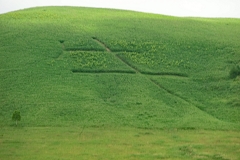 AR